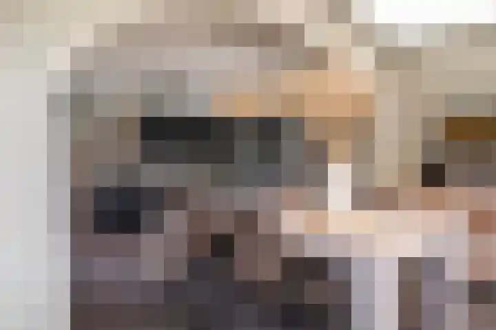 Haaijehoeke 11 Broeksterwâld thumbnail 41