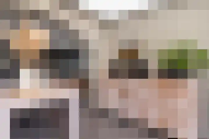 Haaijehoeke 11 Broeksterwâld thumbnail 42