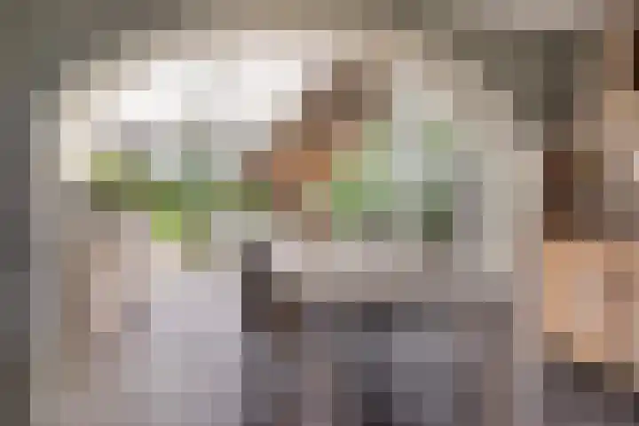 Haaijehoeke 11 Broeksterwâld thumbnail 44