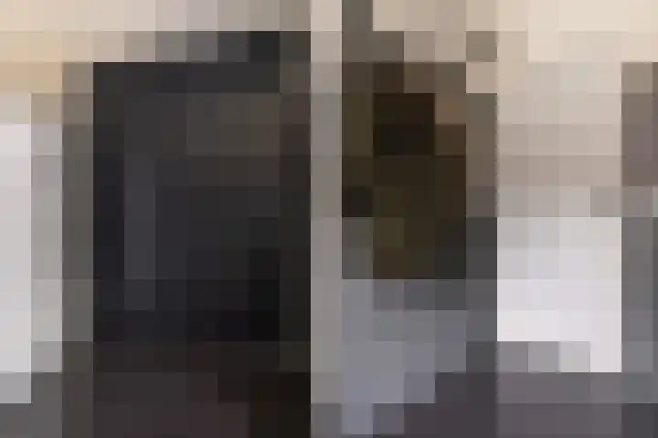 Haaijehoeke 11 Broeksterwâld thumbnail 46