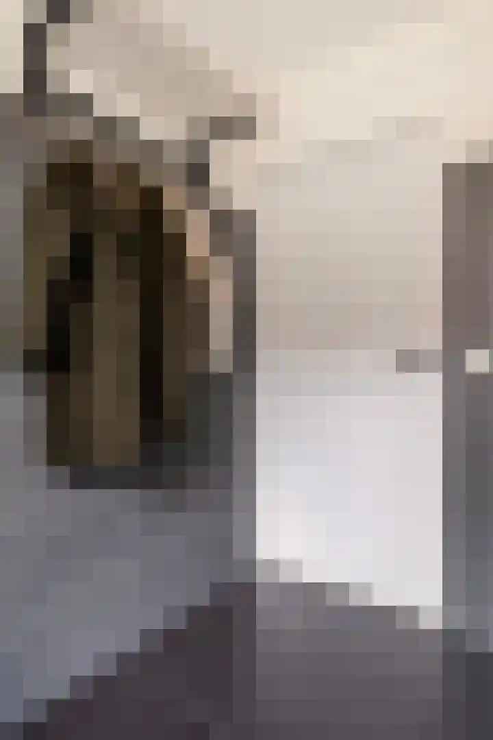 Haaijehoeke 11 Broeksterwâld thumbnail 47