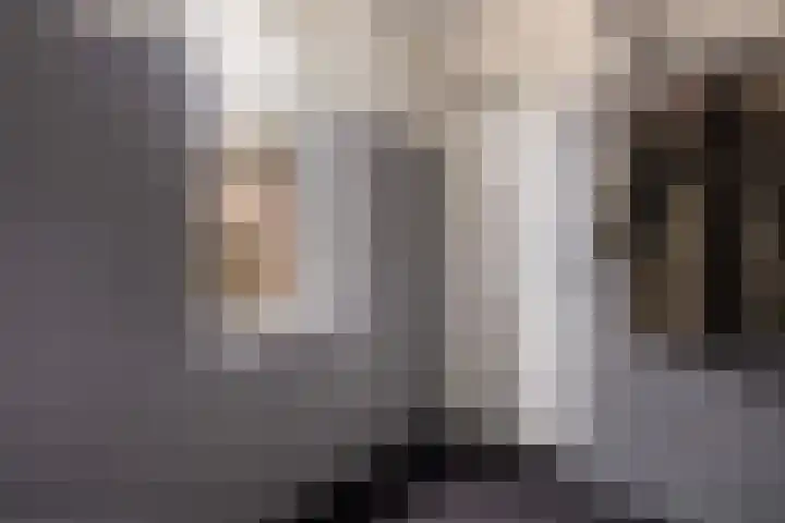 Haaijehoeke 11 Broeksterwâld thumbnail 48