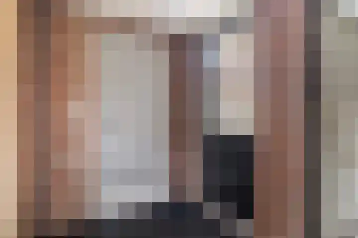 Haaijehoeke 11 Broeksterwâld thumbnail 49