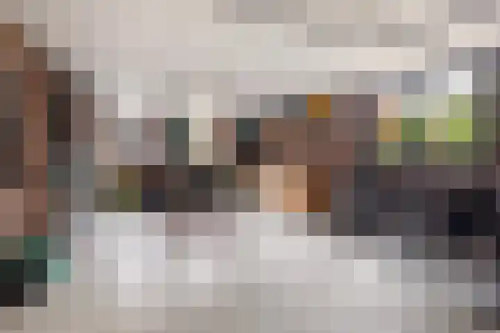 Haaijehoeke 11 Broeksterwâld thumbnail 51