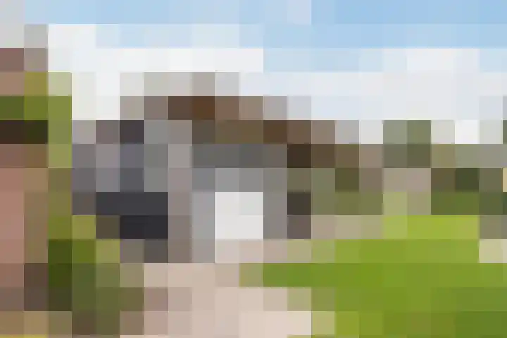 Haaijehoeke 11 Broeksterwâld thumbnail 53
