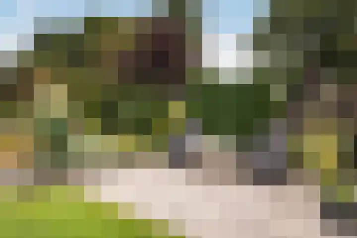 Haaijehoeke 11 Broeksterwâld thumbnail 54