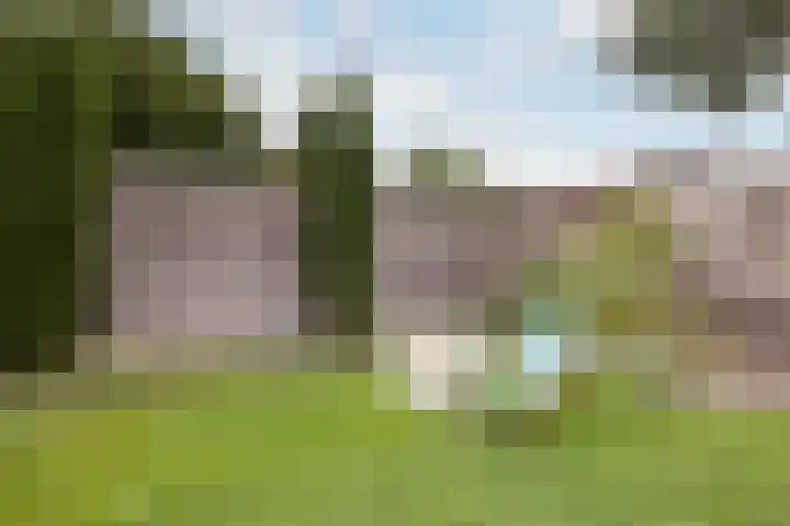 Haaijehoeke 11 Broeksterwâld thumbnail 58