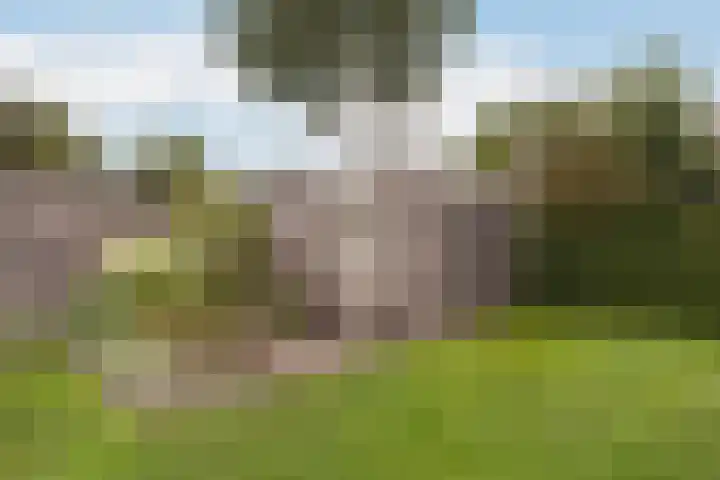 Haaijehoeke 11 Broeksterwâld thumbnail 59