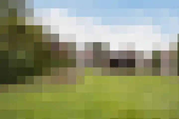 Haaijehoeke 11 Broeksterwâld thumbnail 60