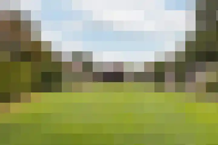 Haaijehoeke 11 Broeksterwâld thumbnail 61