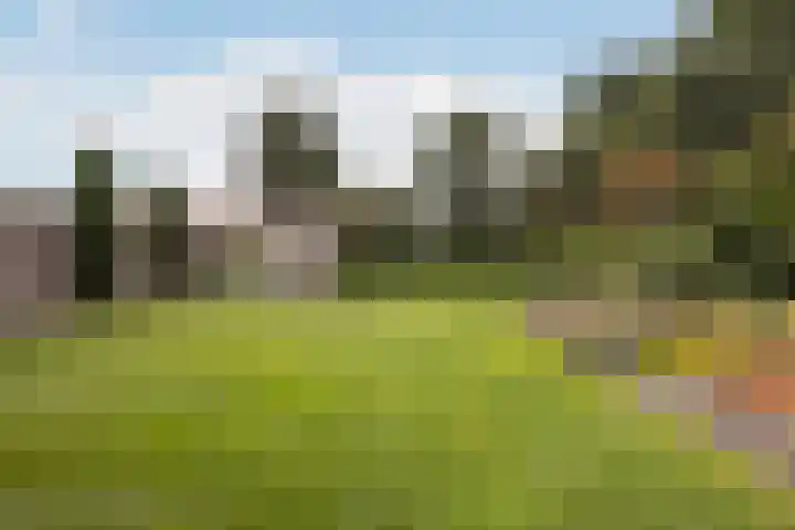 Haaijehoeke 11 Broeksterwâld thumbnail 62
