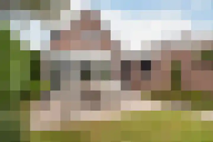 Haaijehoeke 11 Broeksterwâld thumbnail 63