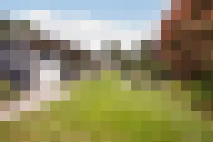Haaijehoeke 11 Broeksterwâld thumbnail 64