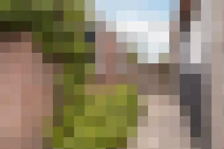 Haaijehoeke 11 Broeksterwâld thumbnail 66