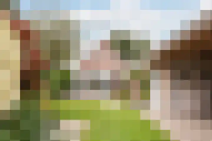 Haaijehoeke 11 Broeksterwâld thumbnail 68