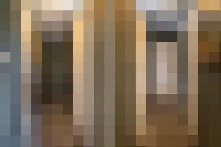 Haaijehoeke 11 Broeksterwâld thumbnail 70
