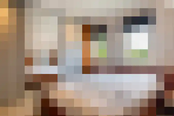 Haaijehoeke 11 Broeksterwâld thumbnail 72