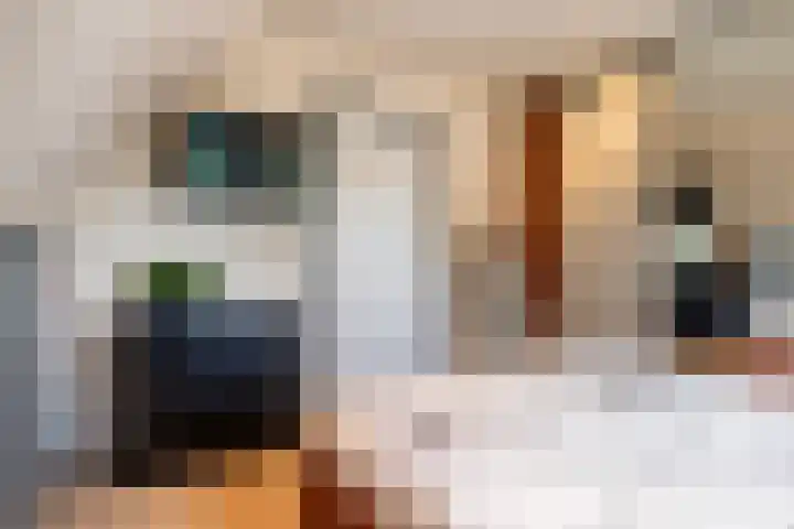 Haaijehoeke 11 Broeksterwâld thumbnail 74