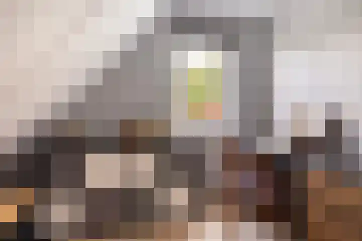 Haaijehoeke 11 Broeksterwâld thumbnail 75