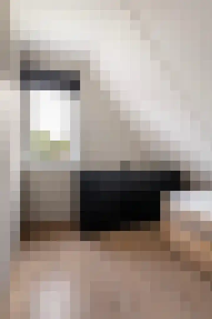 Haaijehoeke 11 Broeksterwâld thumbnail 77
