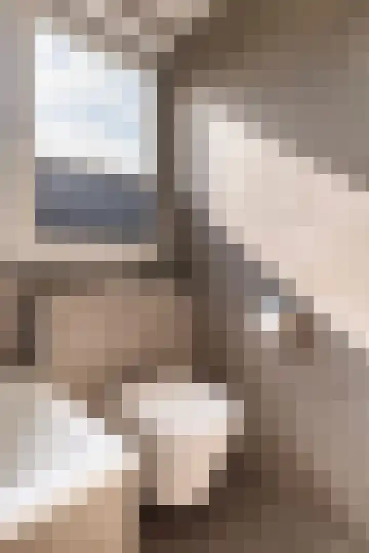 Haaijehoeke 11 Broeksterwâld thumbnail 81