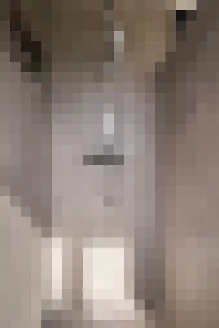 Haaijehoeke 11 Broeksterwâld thumbnail 84