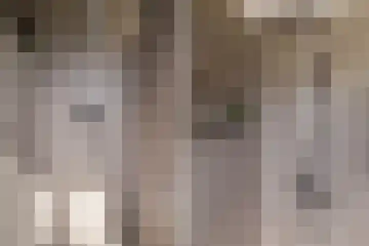 Haaijehoeke 11 Broeksterwâld thumbnail 85