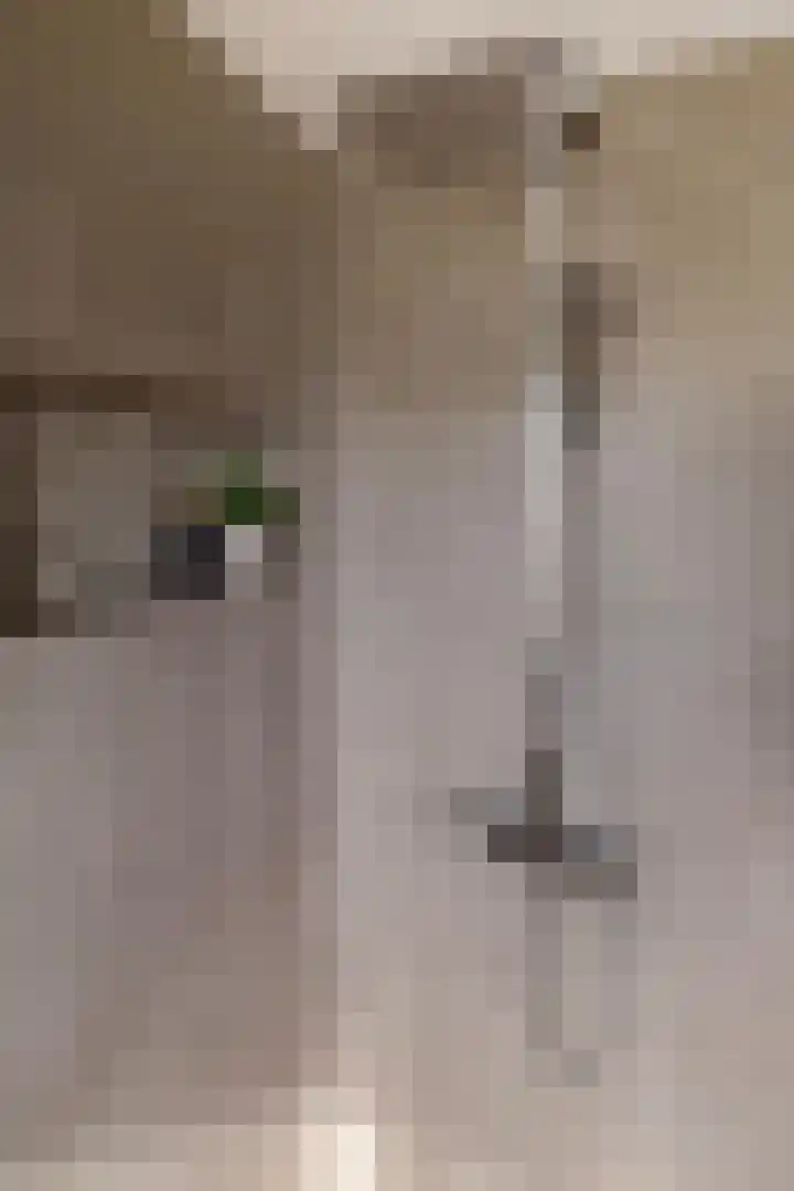 Haaijehoeke 11 Broeksterwâld thumbnail 86