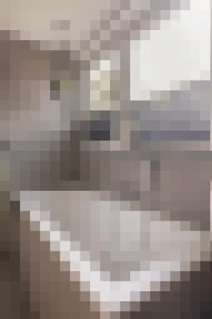 Haaijehoeke 11 Broeksterwâld thumbnail 88