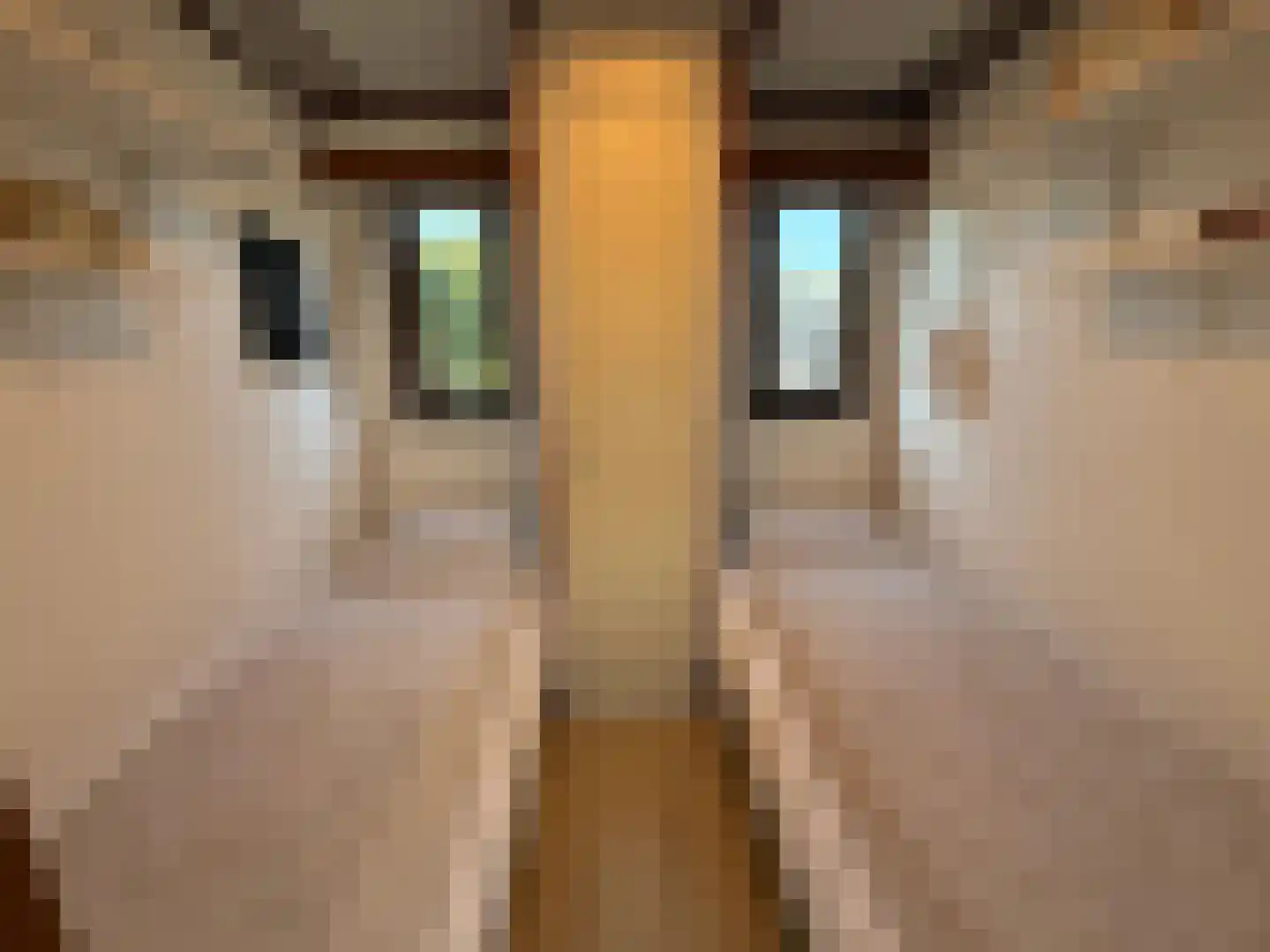 Haaijse Bos 21 g Ouddorp thumbnail 10