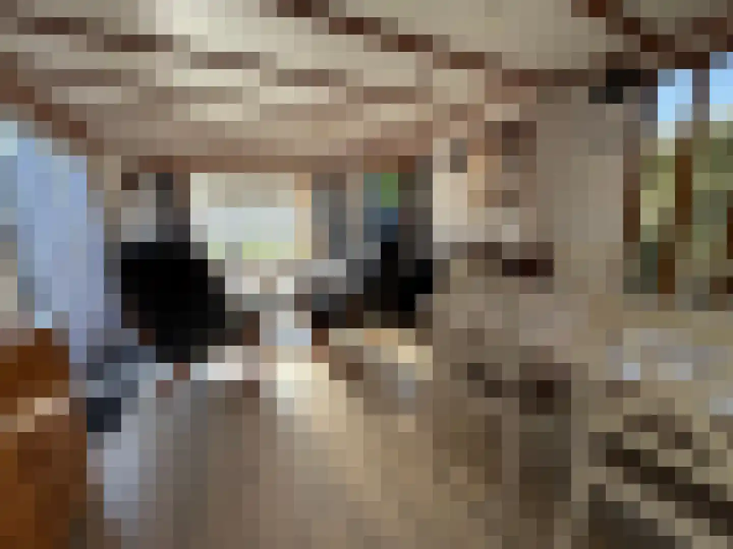 Haaijse Bos 21 g Ouddorp thumbnail 5