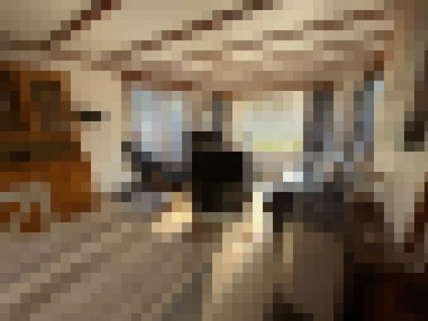 Haaijse Bos 21 g Ouddorp thumbnail 7