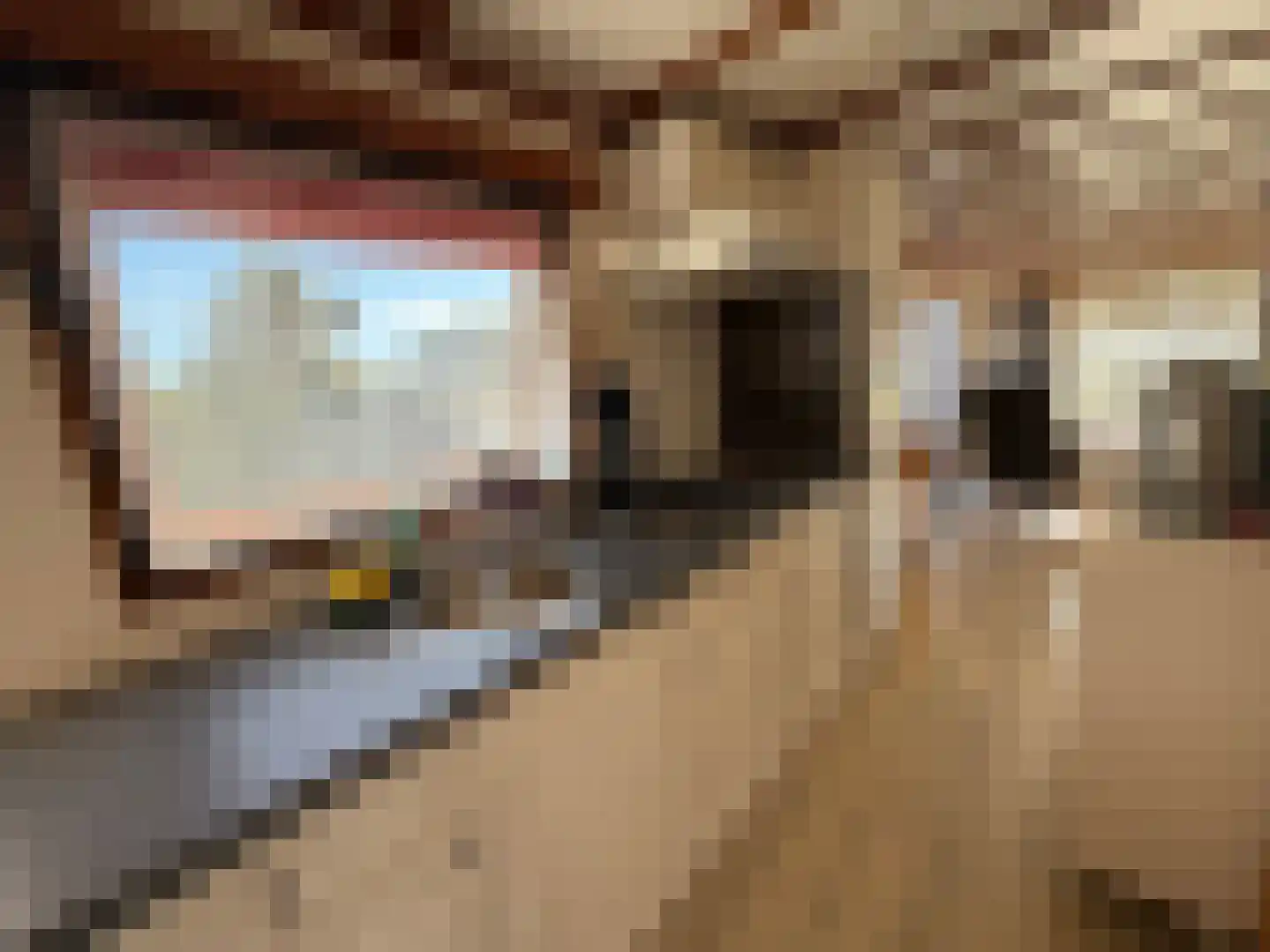 Haaijse Bos 21 g Ouddorp thumbnail 8