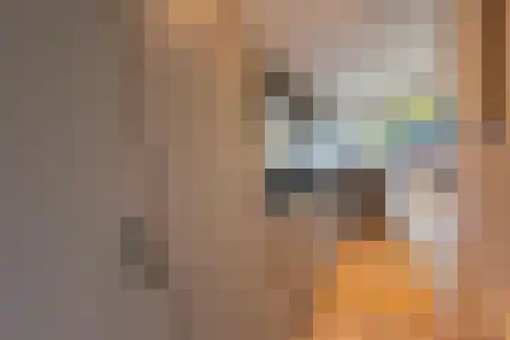 Haaijse Bos 39 Ouddorp thumbnail 10