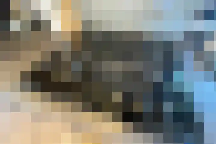 Haaijse Bos 39 Ouddorp thumbnail 11