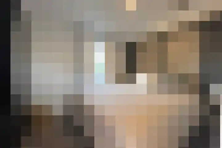 Haaijse Bos 39 Ouddorp thumbnail 12