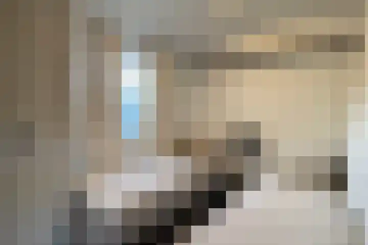 Haaijse Bos 39 Ouddorp thumbnail 13