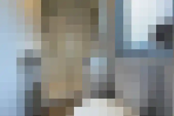 Haaijse Bos 39 Ouddorp thumbnail 14