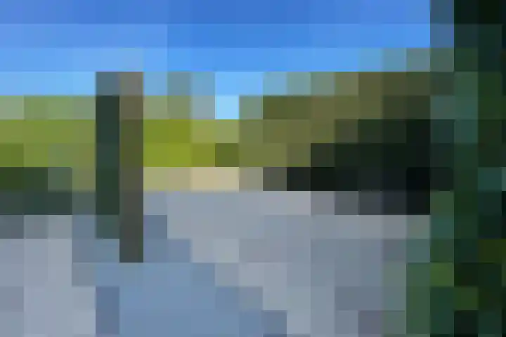 Haaijse Bos 39 Ouddorp thumbnail 16