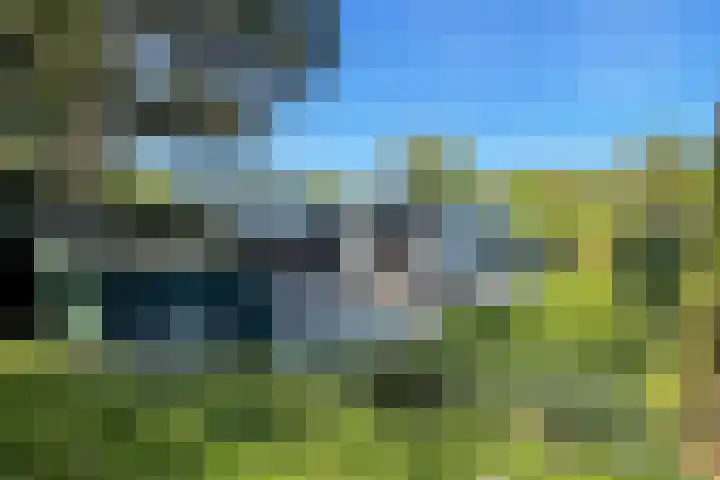 Haaijse Bos 39 Ouddorp thumbnail 17