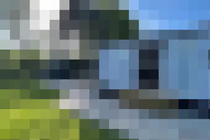 Haaijse Bos 39 Ouddorp thumbnail 18