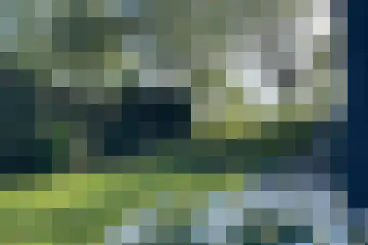 Haaijse Bos 39 Ouddorp thumbnail 19