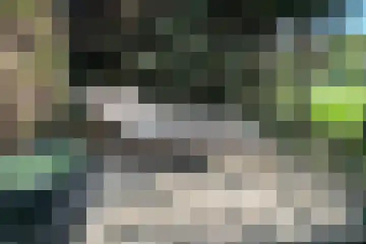 Haaijse Bos 39 Ouddorp thumbnail 21