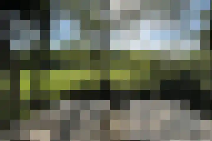 Haaijse Bos 39 Ouddorp thumbnail 22