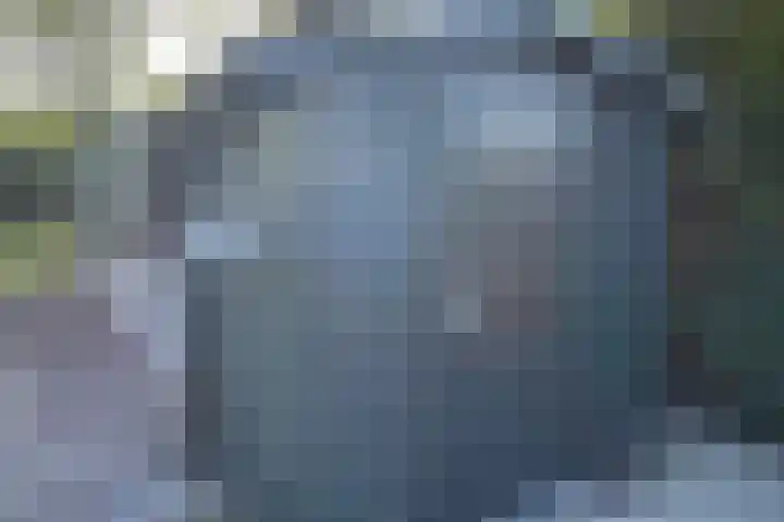 Haaijse Bos 39 Ouddorp thumbnail 24