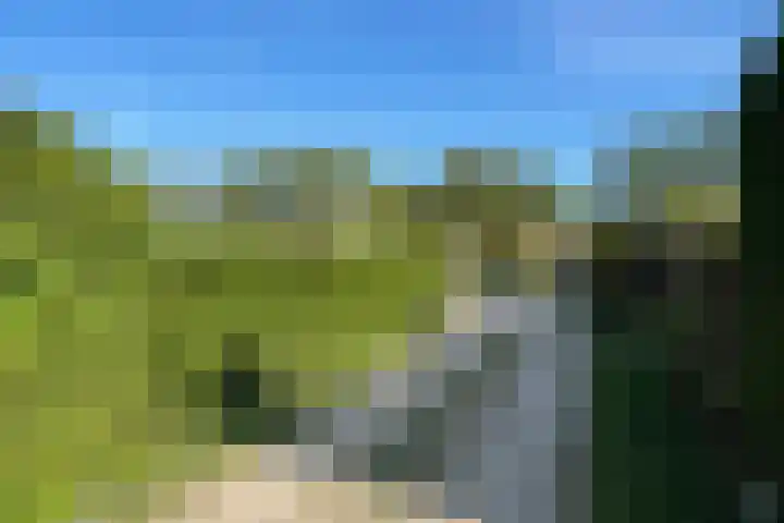 Haaijse Bos 39 Ouddorp thumbnail 25