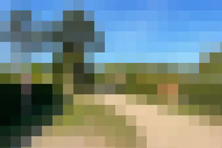 Haaijse Bos 39 Ouddorp thumbnail 26