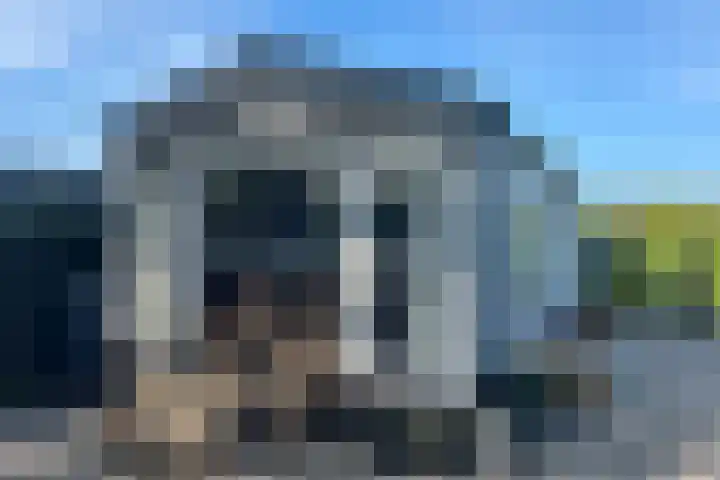 Haaijse Bos 39 Ouddorp thumbnail 5
