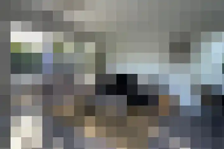 Haaijse Bos 39 Ouddorp thumbnail 6
