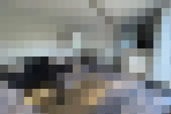 Haaijse Bos 39 Ouddorp thumbnail 7